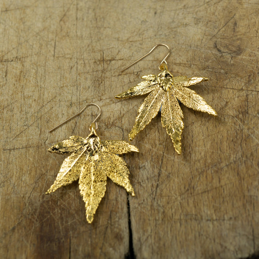 Japanese Maple Earrings