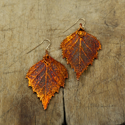Large Birch Earrings