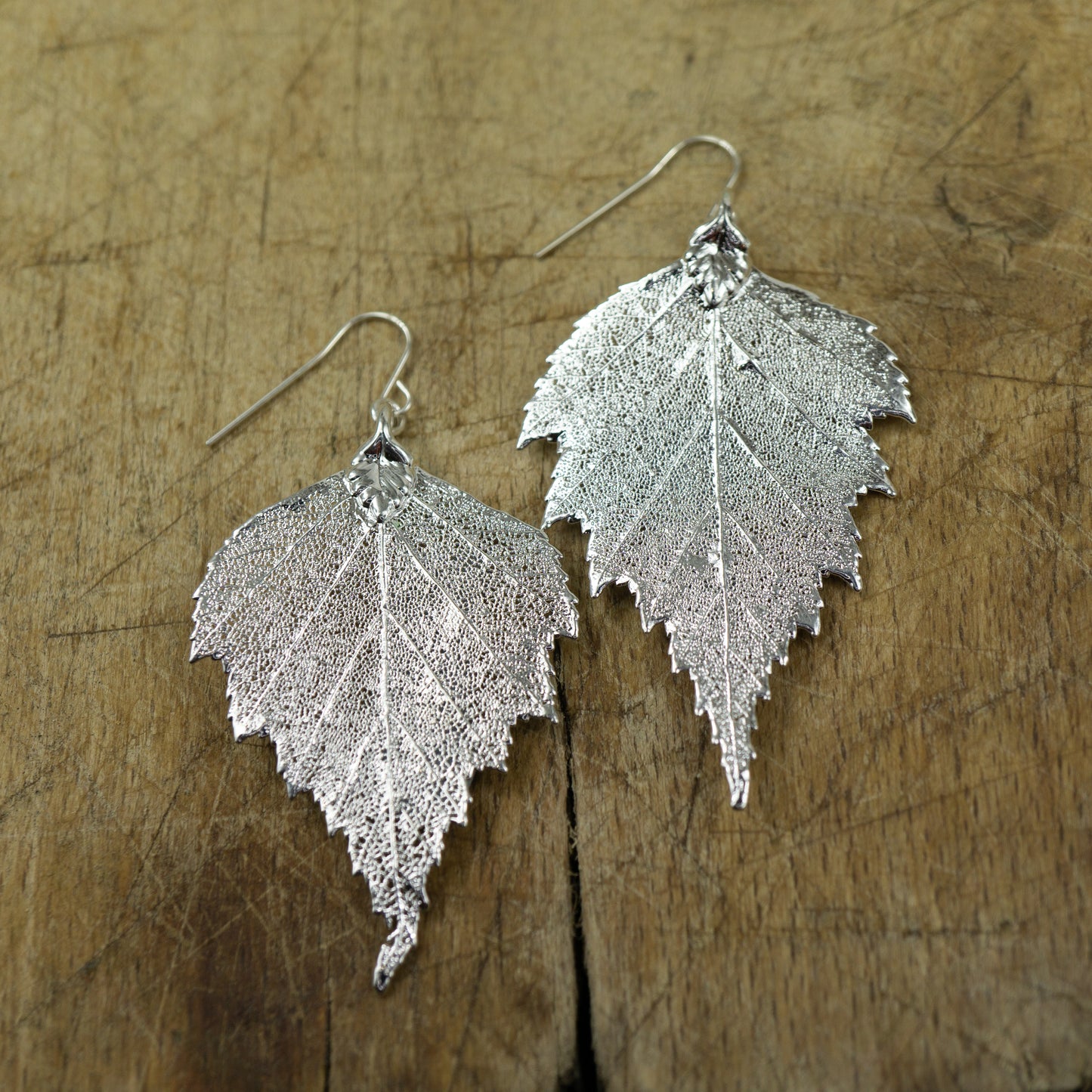 Large Birch Earrings