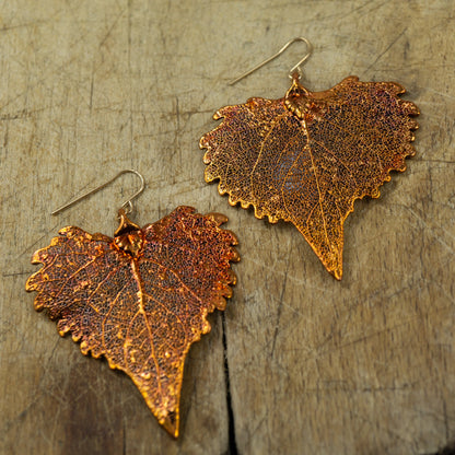 Cottonwood Earrings⁷