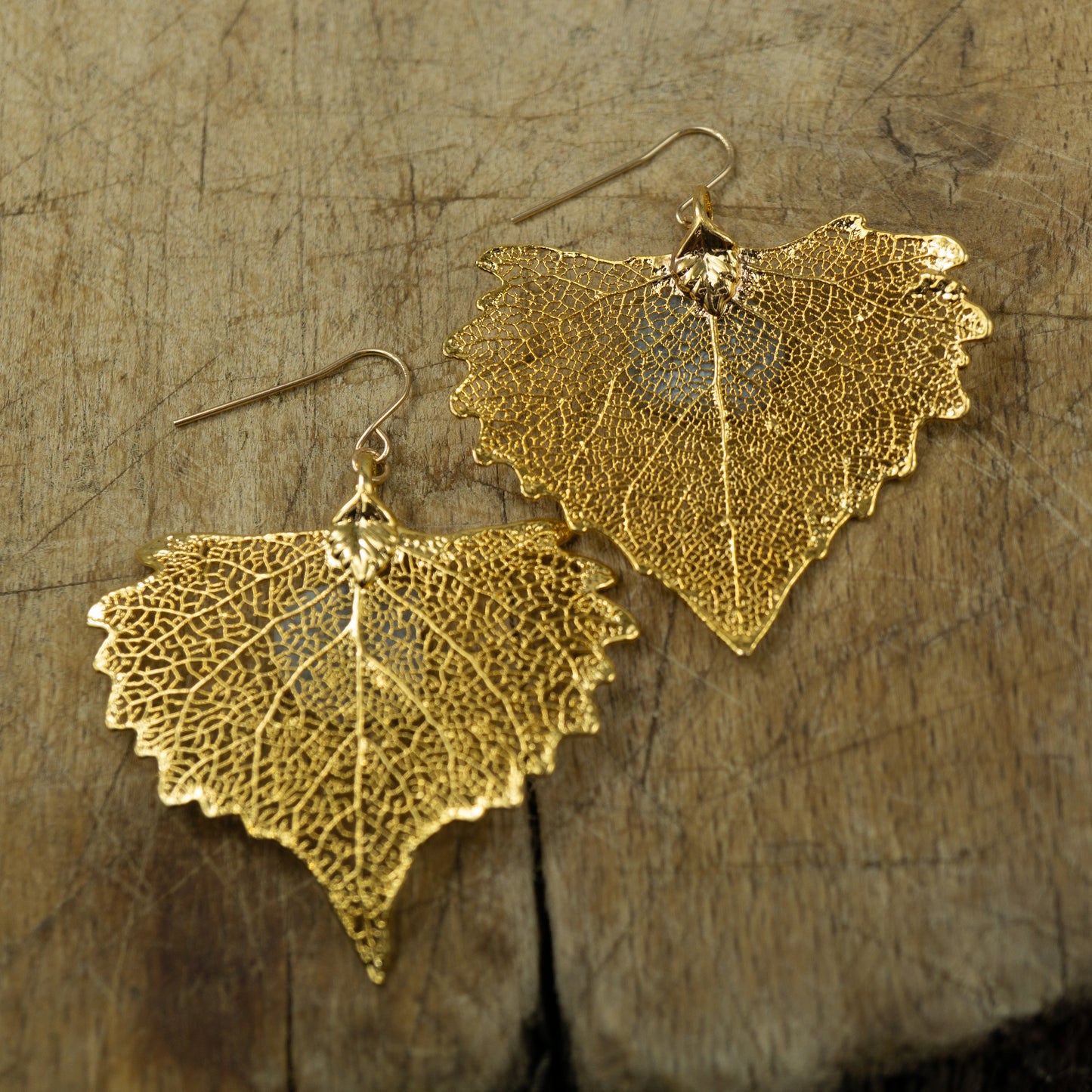 Cottonwood Earrings⁷
