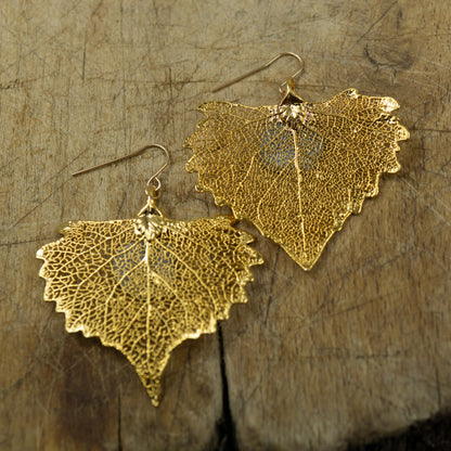 Cottonwood Earrings⁷