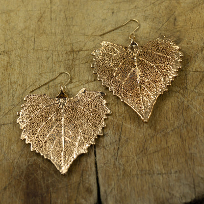 Cottonwood Earrings⁷