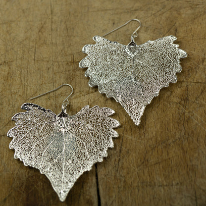 Cottonwood Earrings⁷