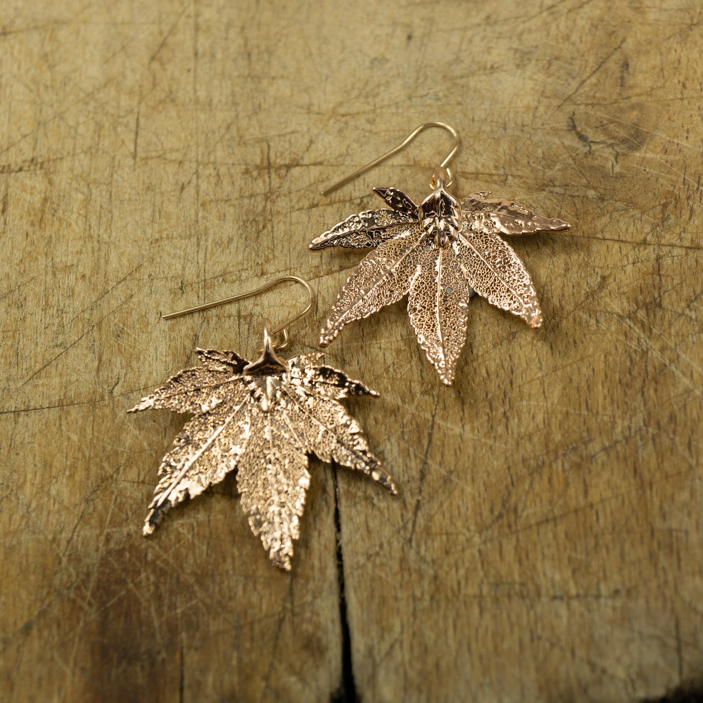Japanese Maple Earrings