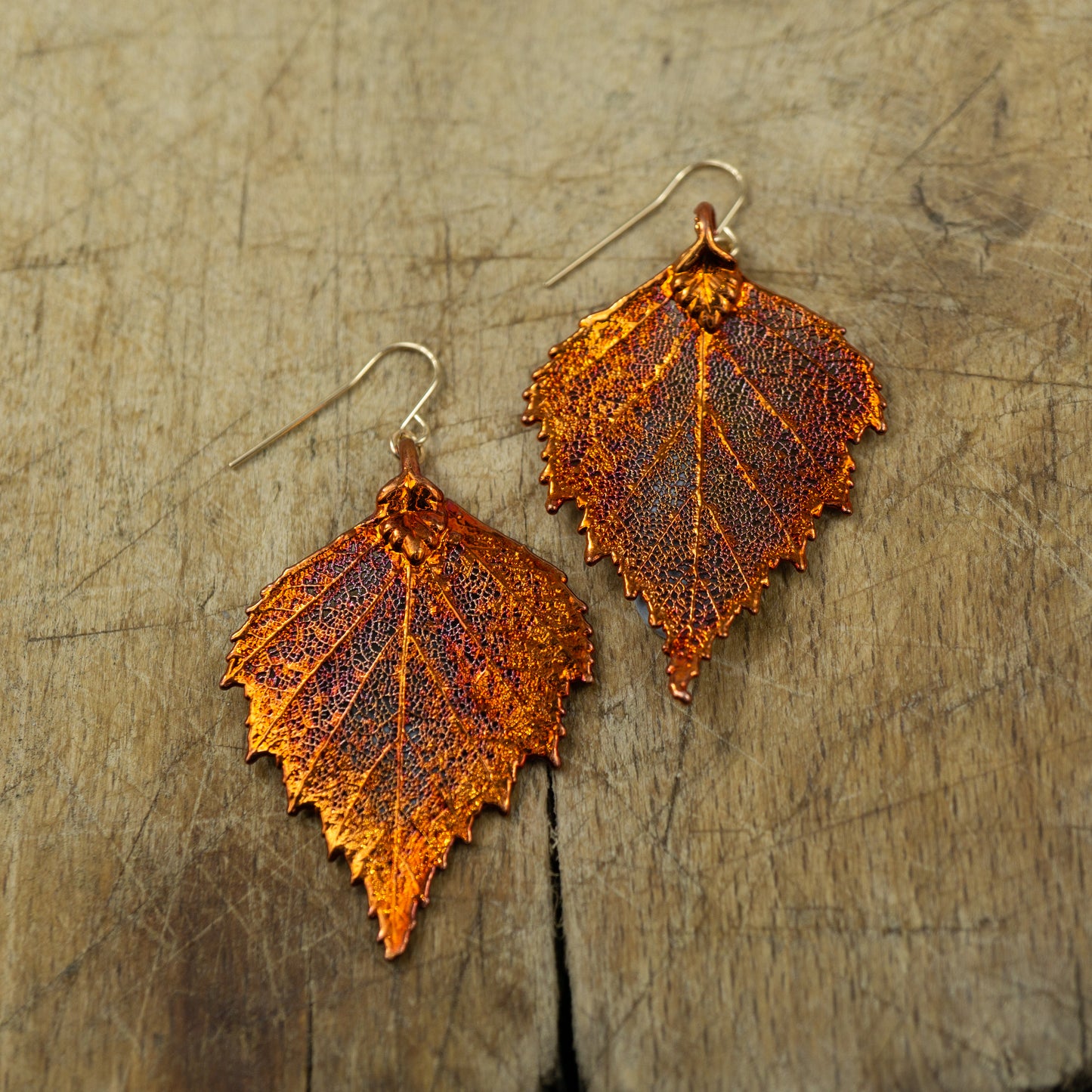Large Birch Earrings