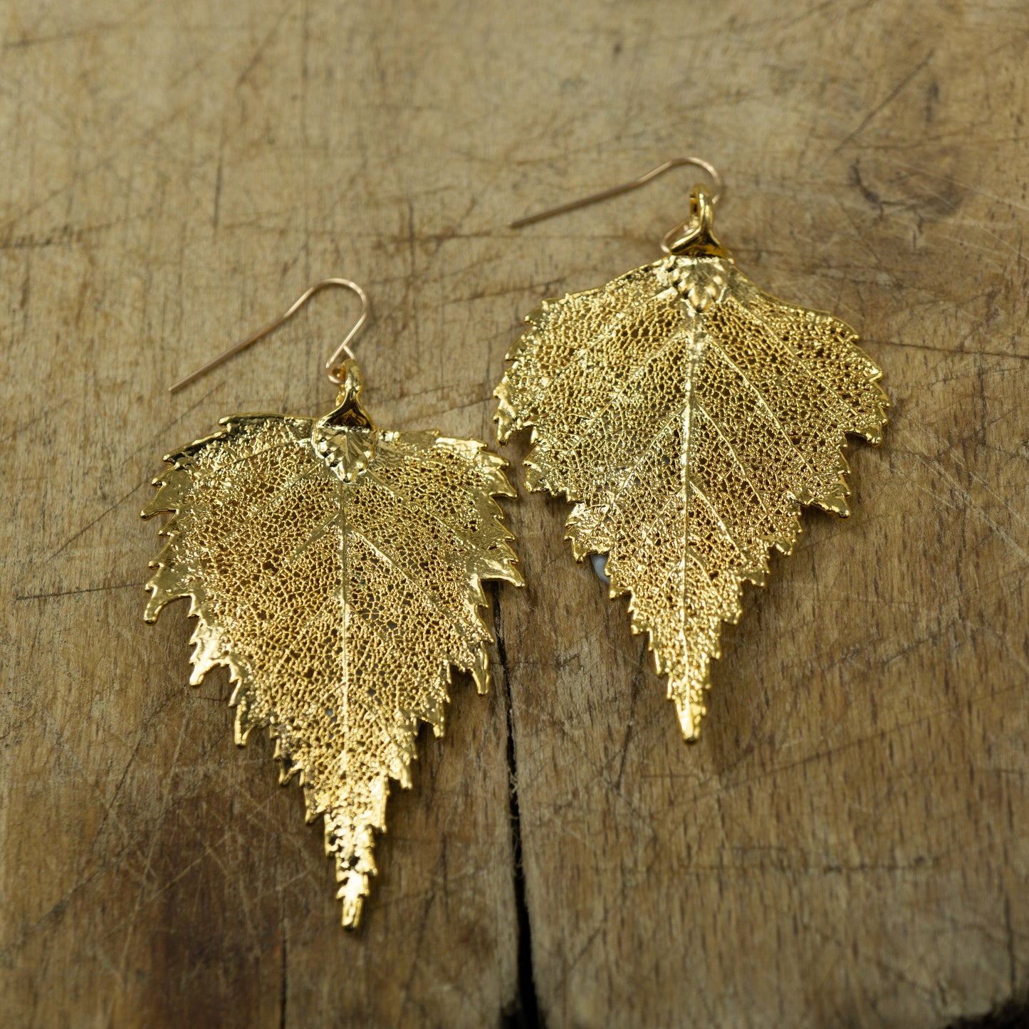 Large Birch Earrings