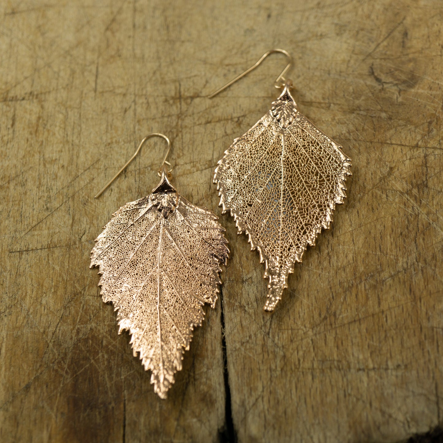 Large Birch Earrings